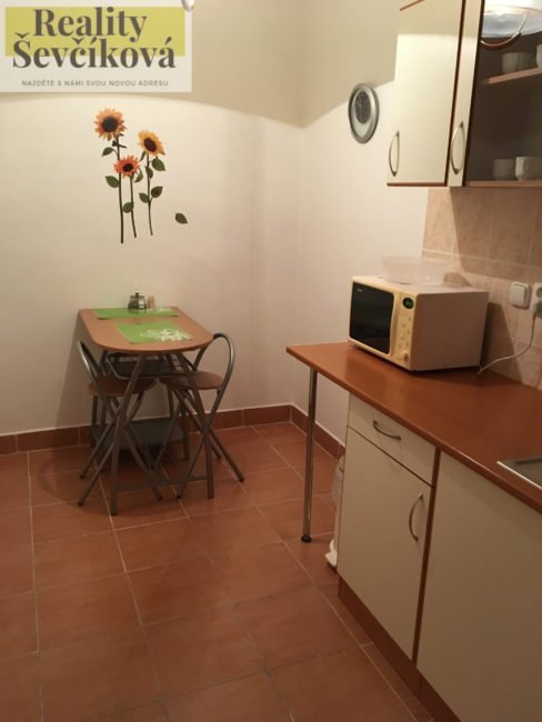 Pronájem kanceláře, 28 m2 – Podnikatelské centrum, ul. Bieblova