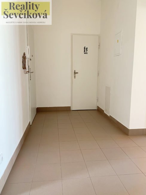 Pronájem pěkného 2+1 s balkónem, 80 m2 – Mánesova