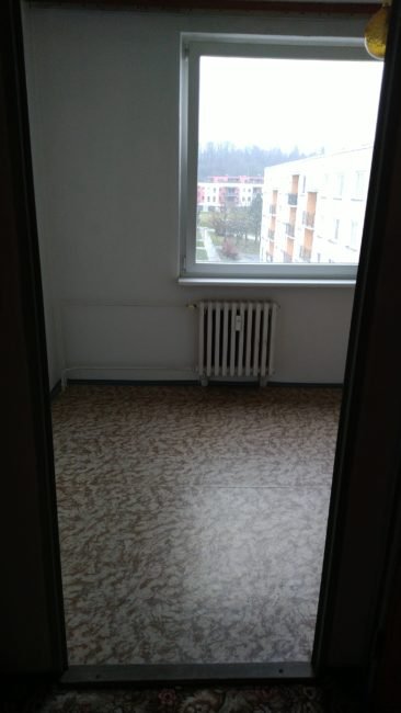 Pronájem 1+1 s balkónem a komorou, 46 m2 – Sekaninova