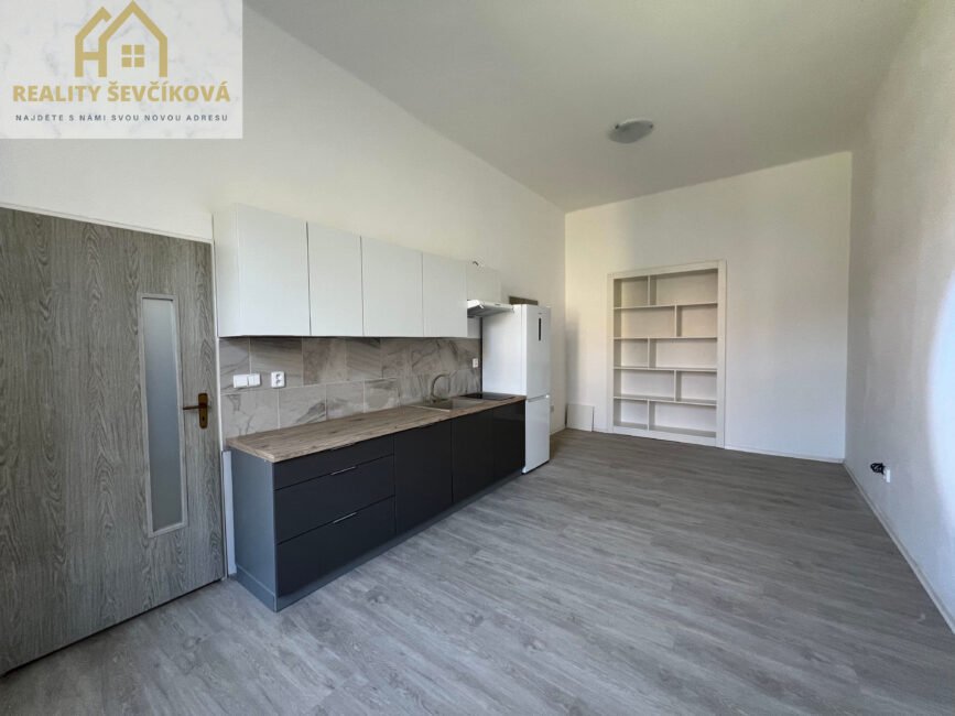 Pronájem 2+kk po celkové rekonstrukci, 55 m2 – Tylovo nábřeží