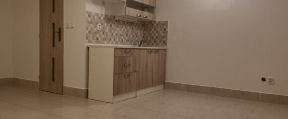 Pronájem suterénního 1+kk, 25 m2 – Smetanovo nábřeží