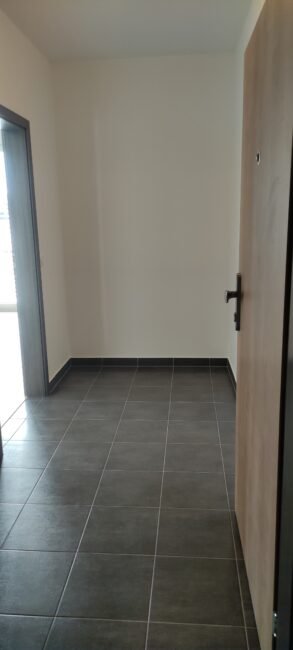Pronájem novostavby 2+kk s balkónem, komorou a parkovacím stáním, 51 m2 – Antonína Petrofa