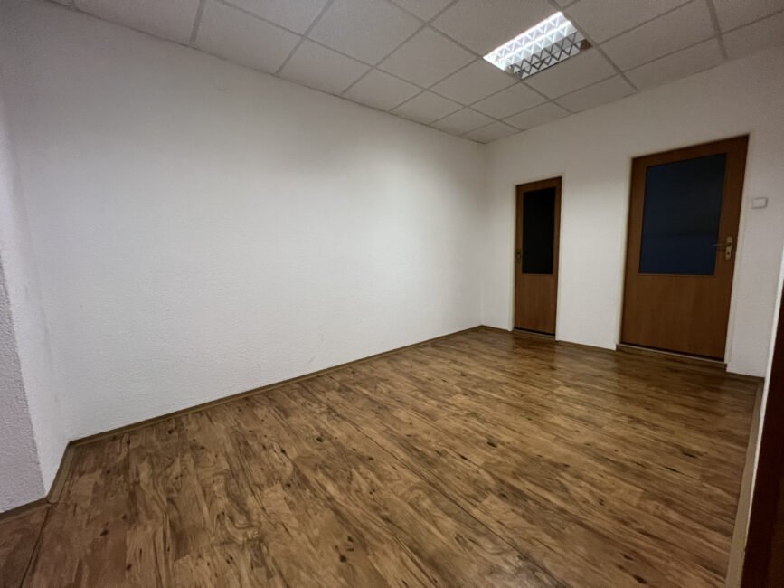 Pronájem atypického 2+kk, 113 m2 – Škroupova
