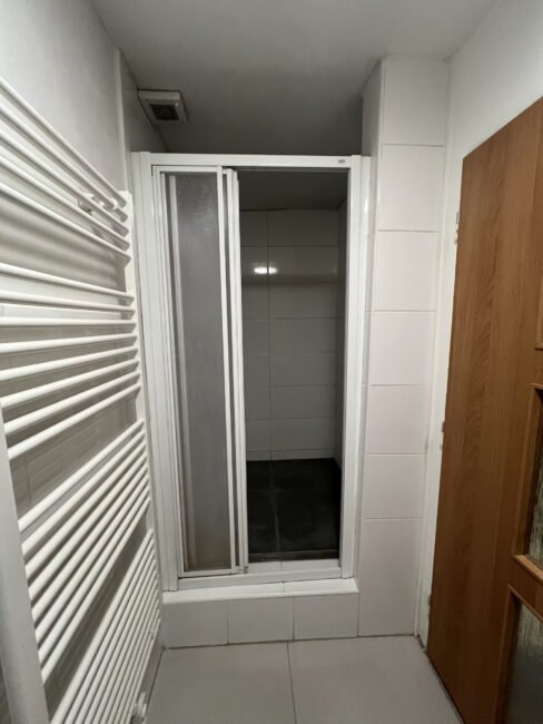 Pronájem atypického 2+kk, 113 m2 – Škroupova
